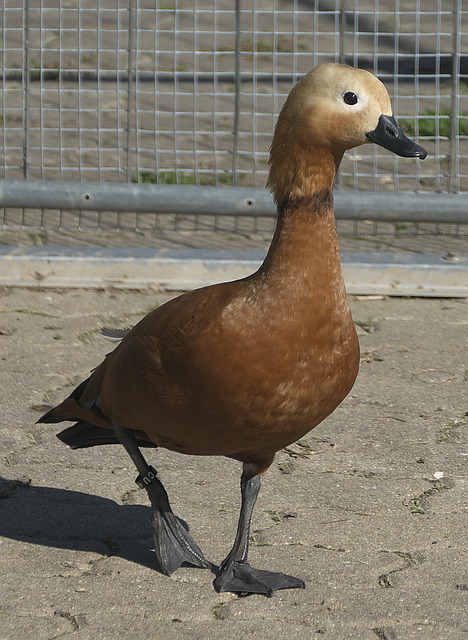 方认可