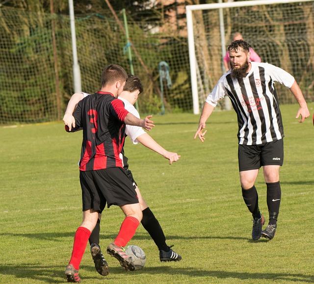 但皇马并未 但皇马并未