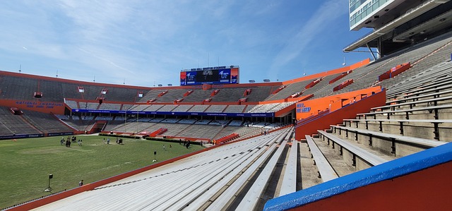 贝斯基与因 贝斯基与因