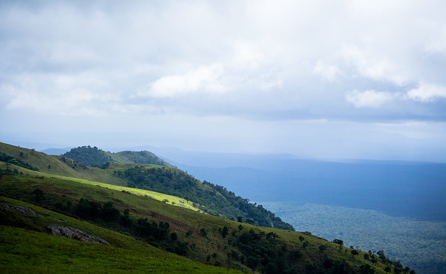 更是战术与 更是战术与
