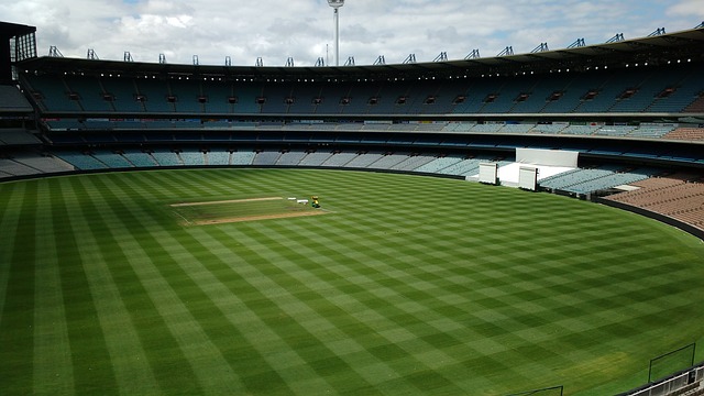 也成为对手 也成为对手