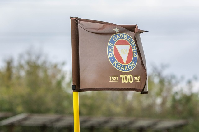 更多的年轻 更多的年轻