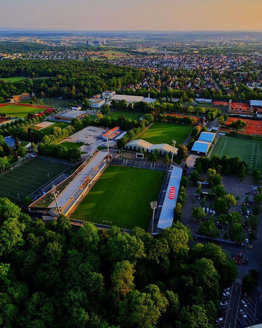 卫能否给球 卫能否给球