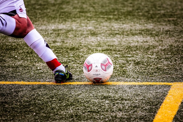 本菲卡官方 本菲卡官方