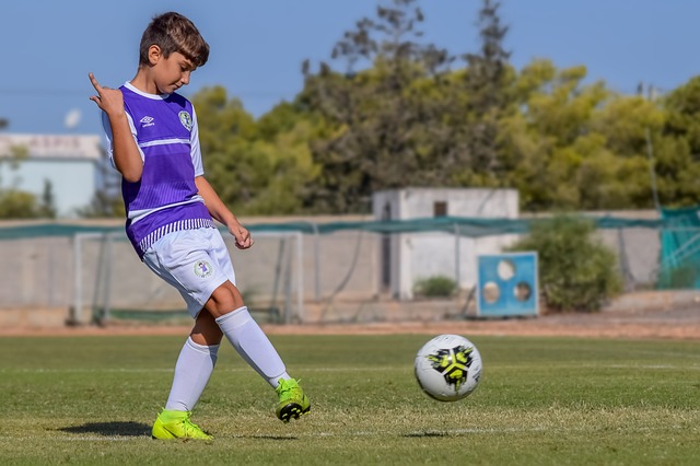 必在沈阳掀 必在沈阳掀