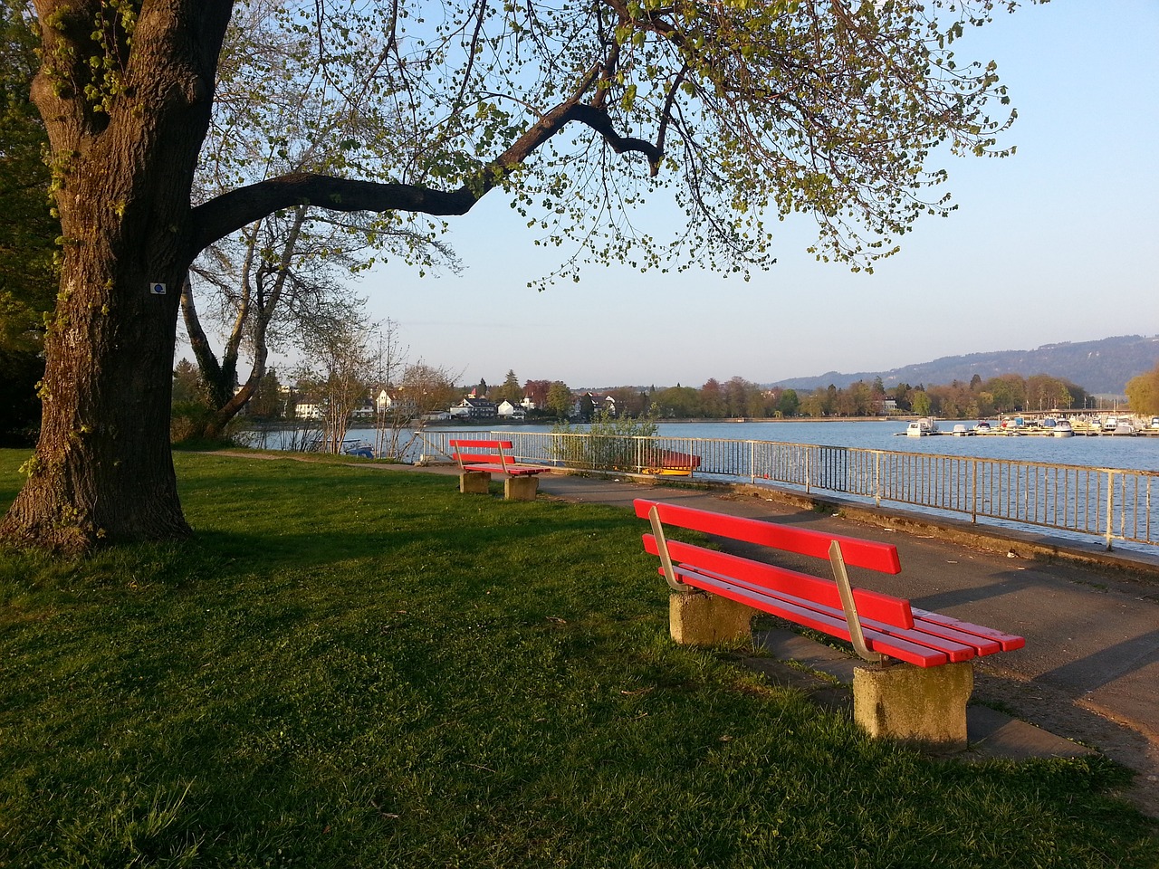 在这场活动 在这场活动