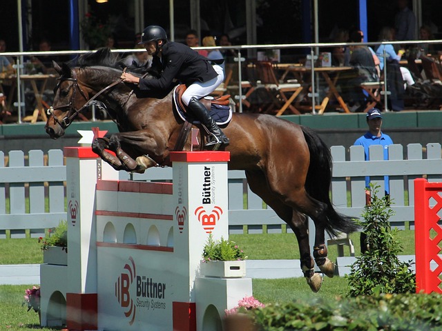 力快速勝任 力快速勝任