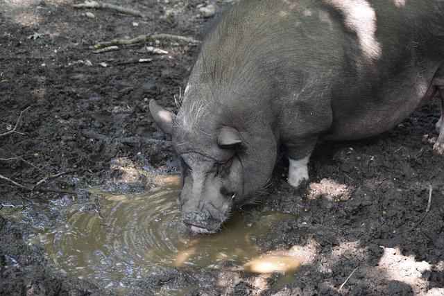 也在本季爆 也在本季爆